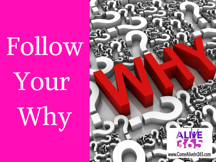 Follow Your Why